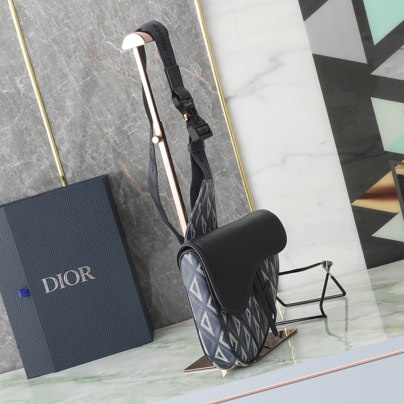 Christian Dior Saddle Bags